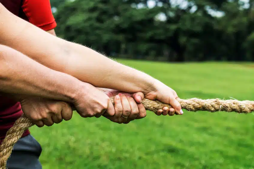 cohésion d'équipe grâce au team building